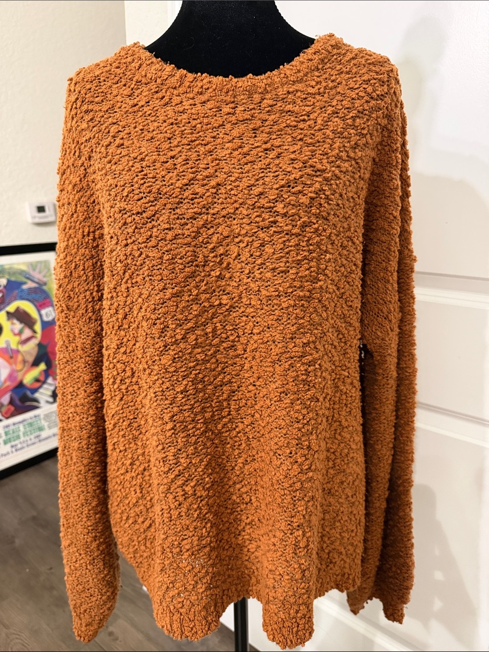 HAYDEN Los Angeles Cozy Scoop-Neck Plush Sweater — Burnt Orange